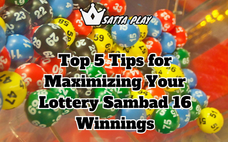lottery sambad 16